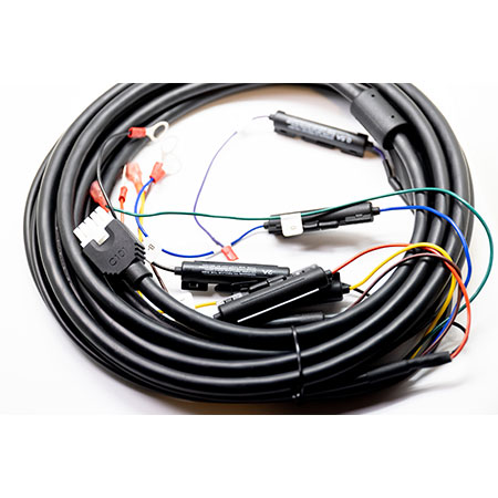 Salsissimus vir vivens Wiring Harness - 10P HSG/TER*7+保險絲